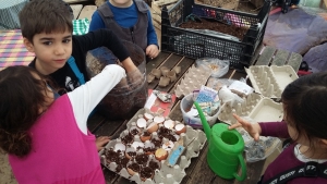 Serbest Gezen Bir Okul - Tırtıl Okulu - Yağ  Yağ Yağmur Teknede Hamur...