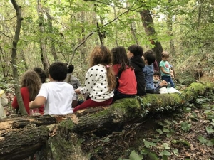 Serbest Gezen Bir Okul - Yeniokul ve Meşe Anaokulu - Yeni Bir Dönem ve “Ekoloji Nedir” üzerine egzersizler