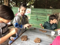 Serbest Gezen Bir Okul - BEM İlkokulu - Serbest Gezenler Yeniden