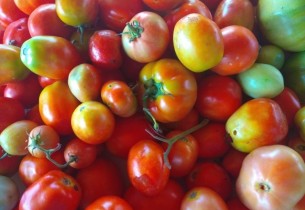 27-28 Ekim 2018 - KampaGidelimmiBABA Ekolojik Çocuk Kampı Güncesi