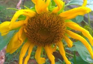 29-30 Eylül 2018 - KampaGidelimmiBABA Ekolojik Çocuk Kampı Güncesi