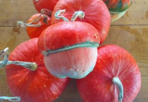 1-2 Eylül 2018 - KampaGidelimmiBABA Ekolojik Çocuk Kampı Güncesi